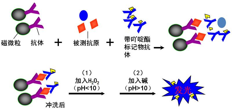 微信图片_20230414103224.png