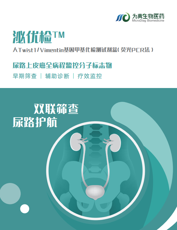 1741304523278.png